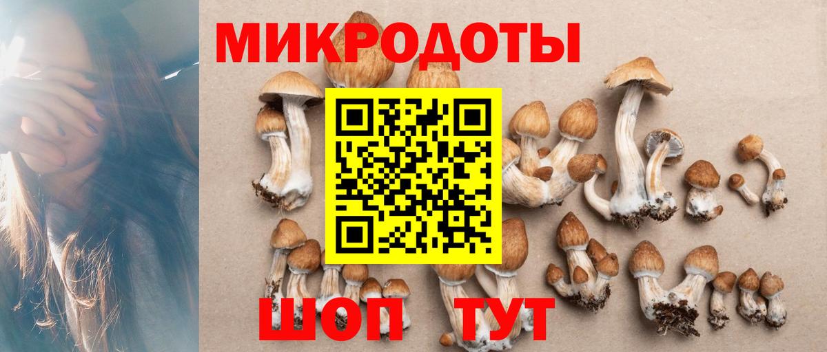 Ишим  Псилоцибиновые грибы ЛСД  Вход с VPN  Псилоцибиновые грибы мухоморы 